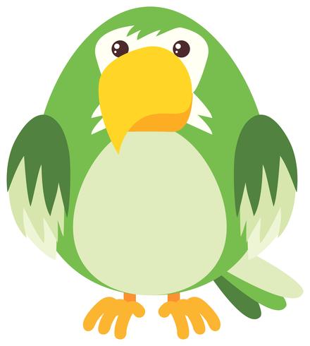 Papagaio verde sobre fundo branco vetor