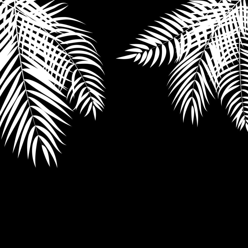 fundo de silhueta de folha de palmeira vetor