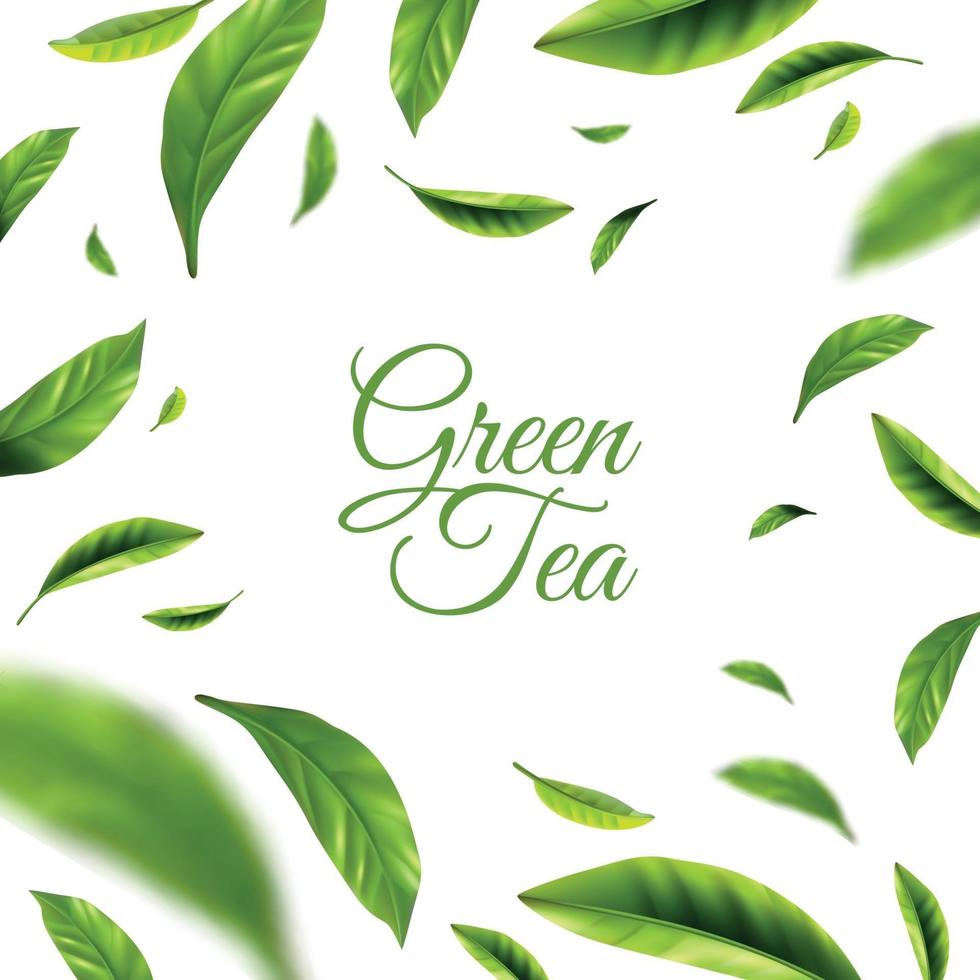 ilustração em vetor fundo chá verde