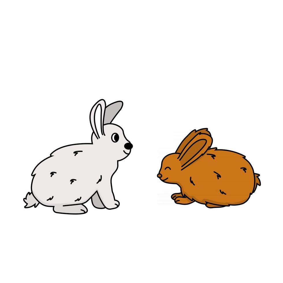 um conjunto de duas lebres ou coelhos de desenho animado vetor