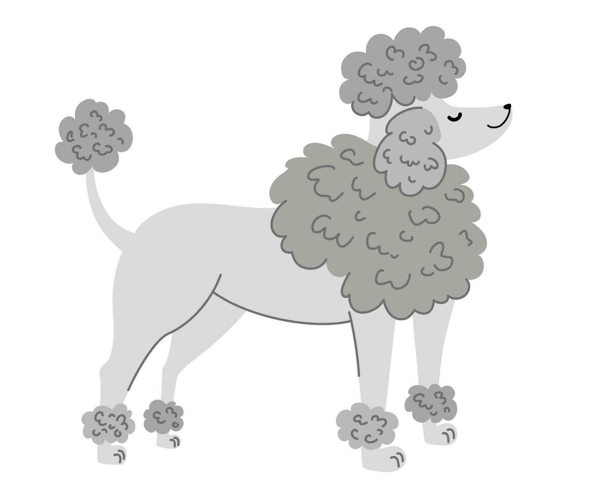 cachorro poodle. animais de estimação, animais, canino tema Projeto elemento dentro contemporâneo simples plano estilo. vetor desenho animado ilustração isolado em a branco fundo.