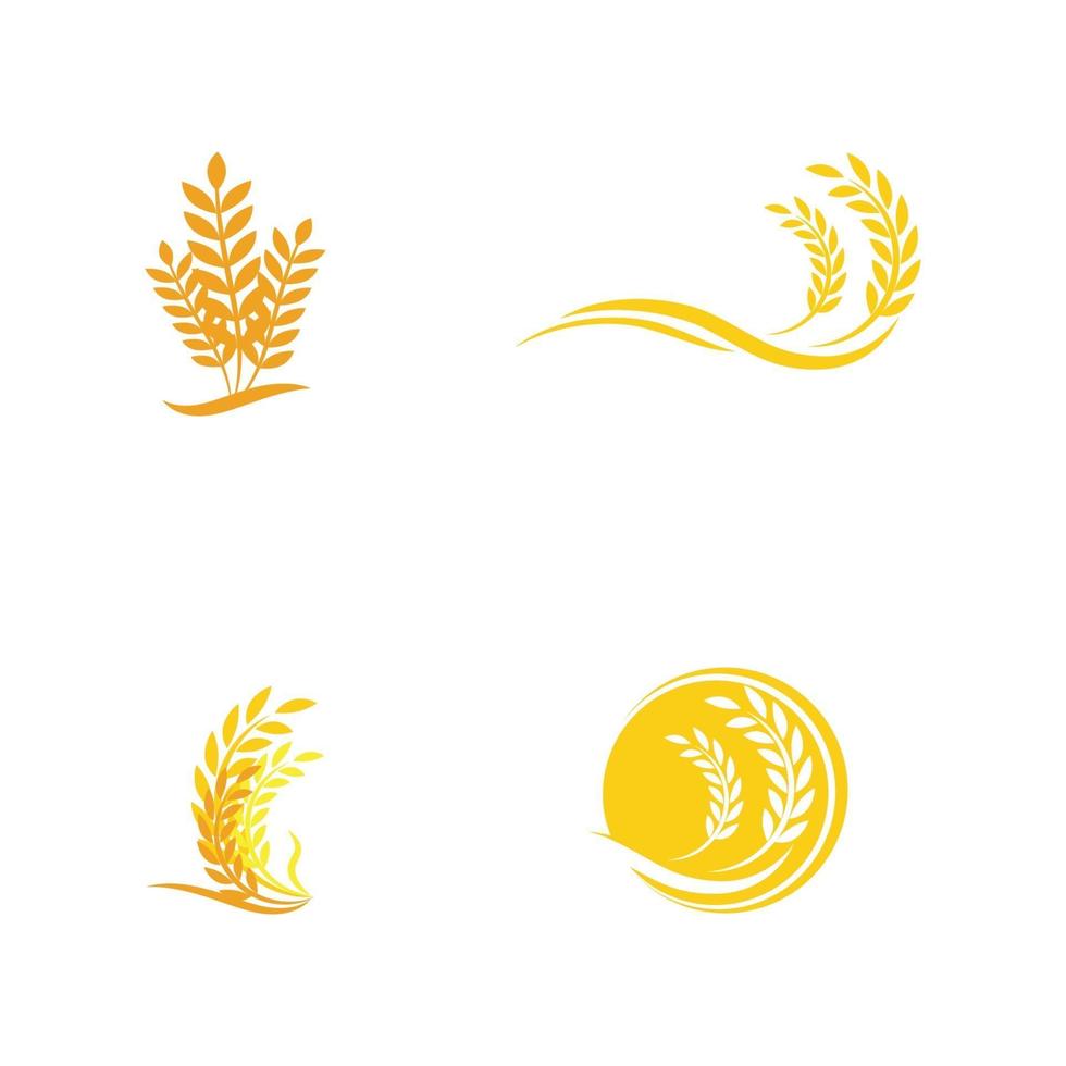 trigo logotipo modelo vetor símbolo natureza
