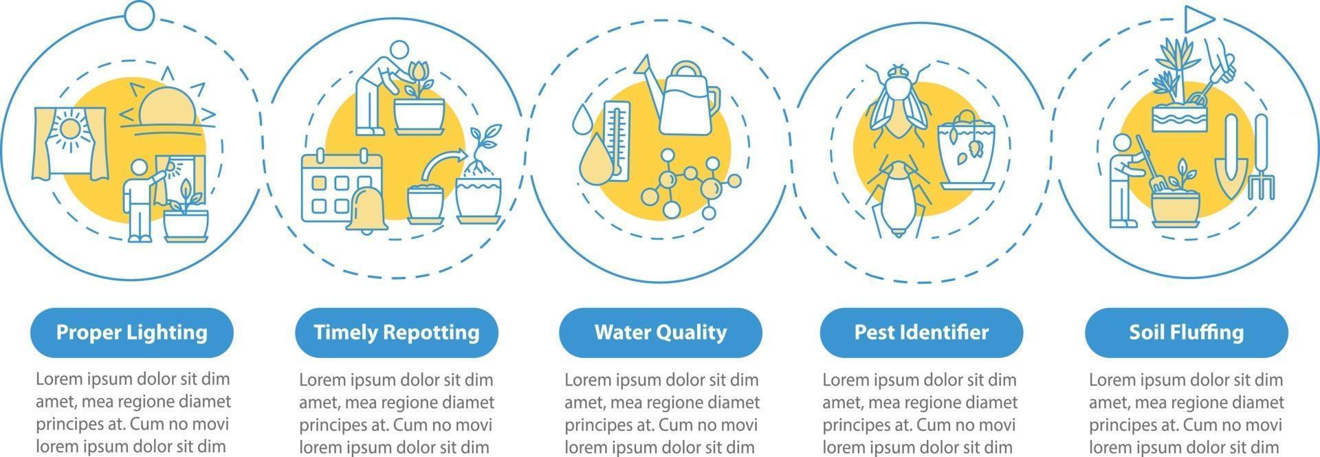 infográfico modelo de vetor de flores para cuidar