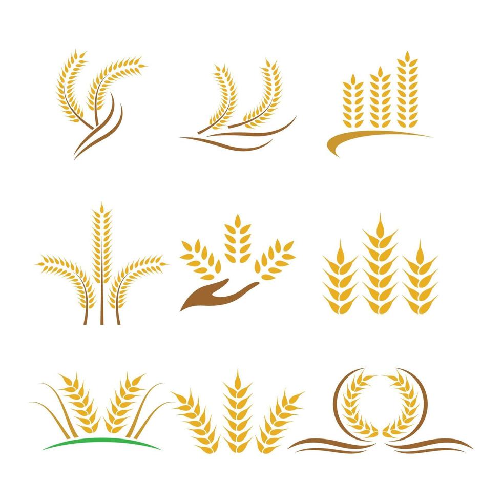 imagens do logotipo da wheat vetor