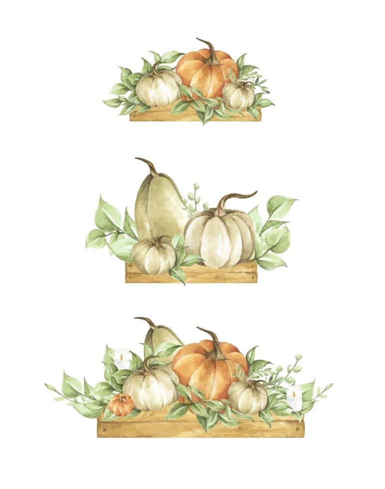 conjunto de abóboras em aquarela. decoração de outono design floral. vetor