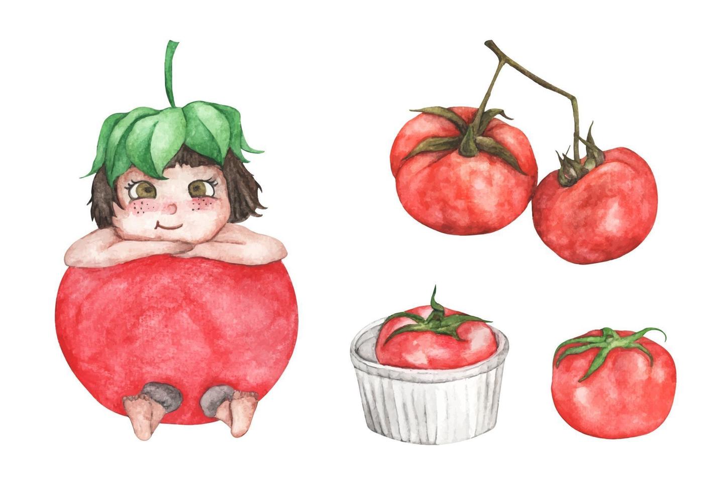 conjunto aquarela de um vegetal tomate. vetor