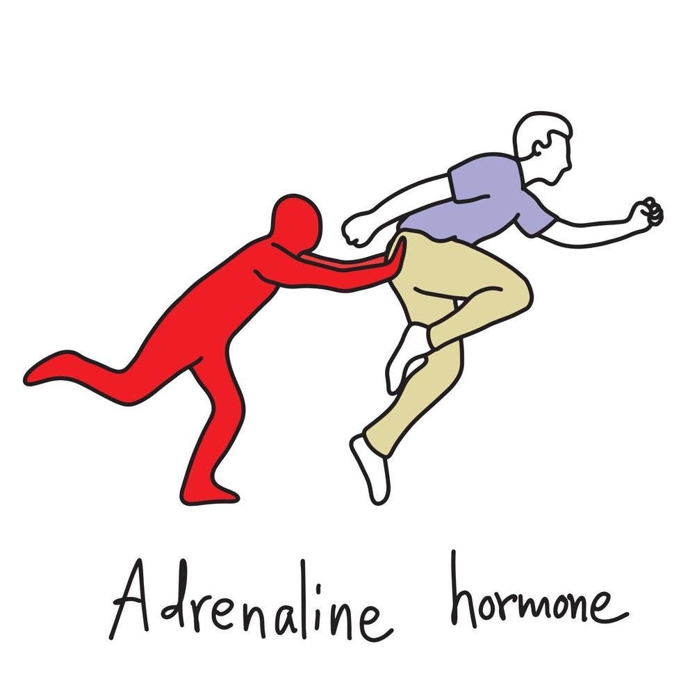 função de metáfora do hormônio adrenalina vetor