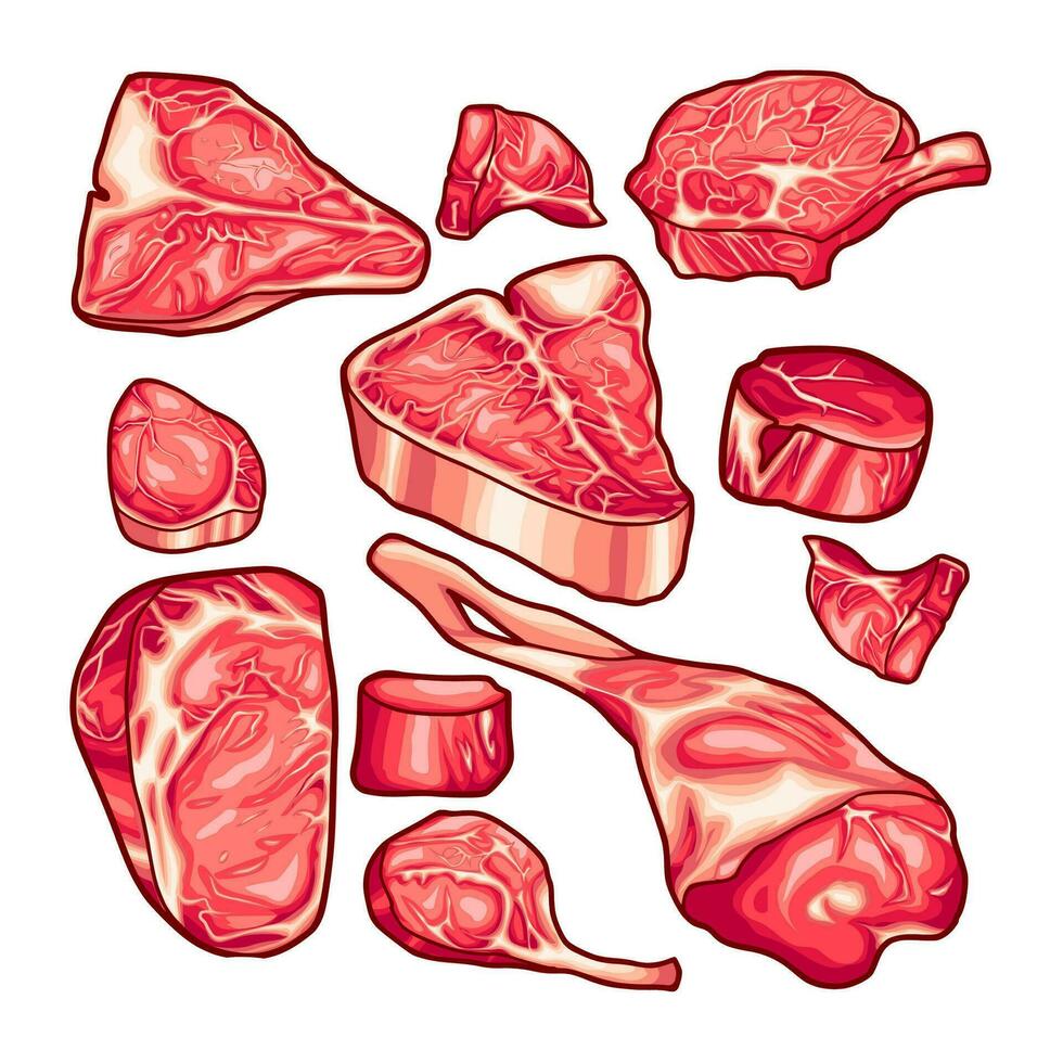 ilustração vetorial de carne vetor