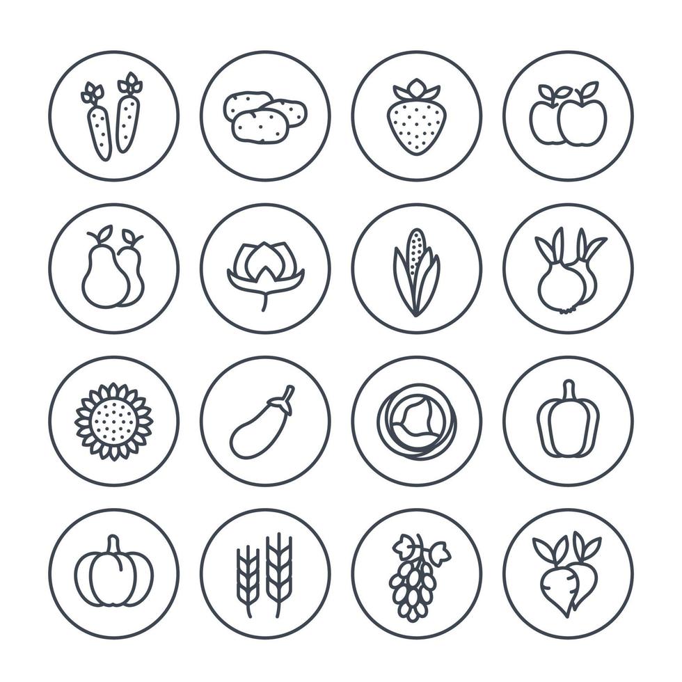 colheita, ícones de linha de cultivo definidos em branco vetor