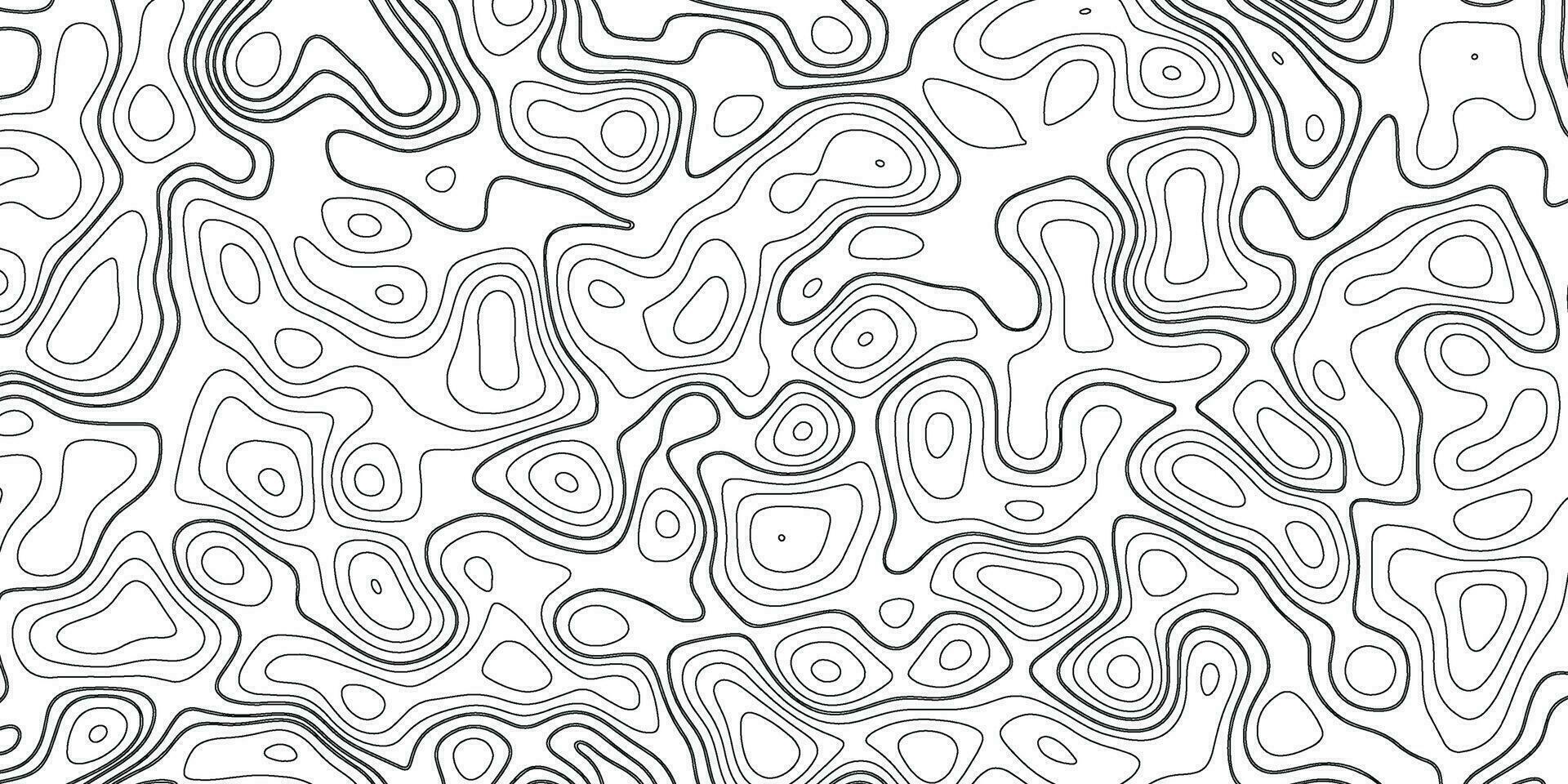 topográfico fundo. cinzento e branco abstrato fundo com ondulado linhas. Preto e branco padronizar do linhas e curvas. topográfico topografia vetor