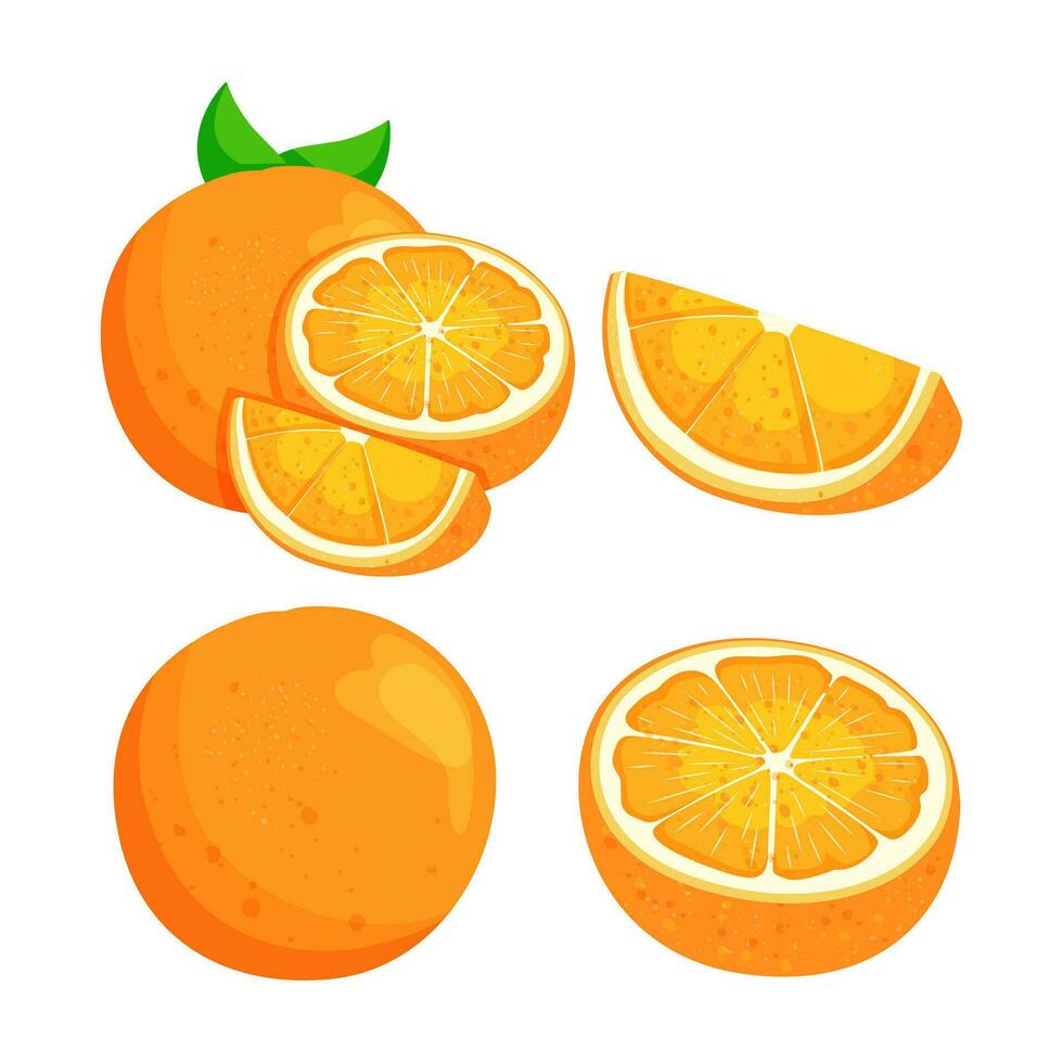 laranja. conjunto do fresco todo, metade, cortar fatia laranja fruta isolado em branco fundo. orgânico fruta vetor