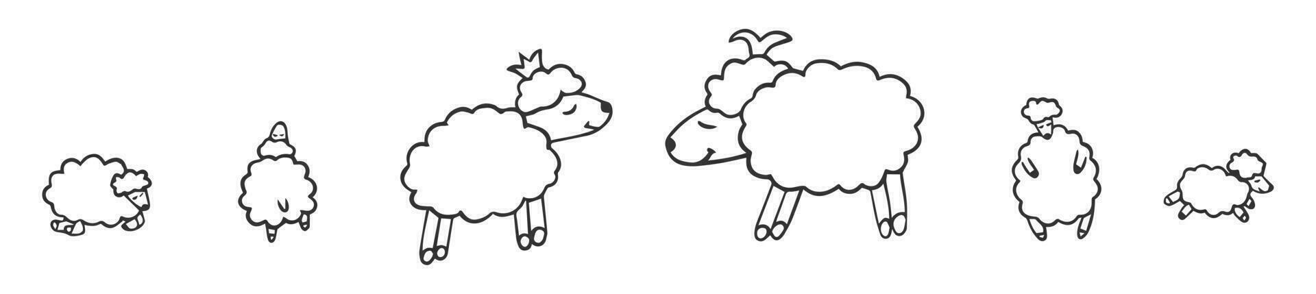 rabisco ovelha definir. fofa cordeiros. vetor ilustração para textil projeto, para crianças, coloração livro