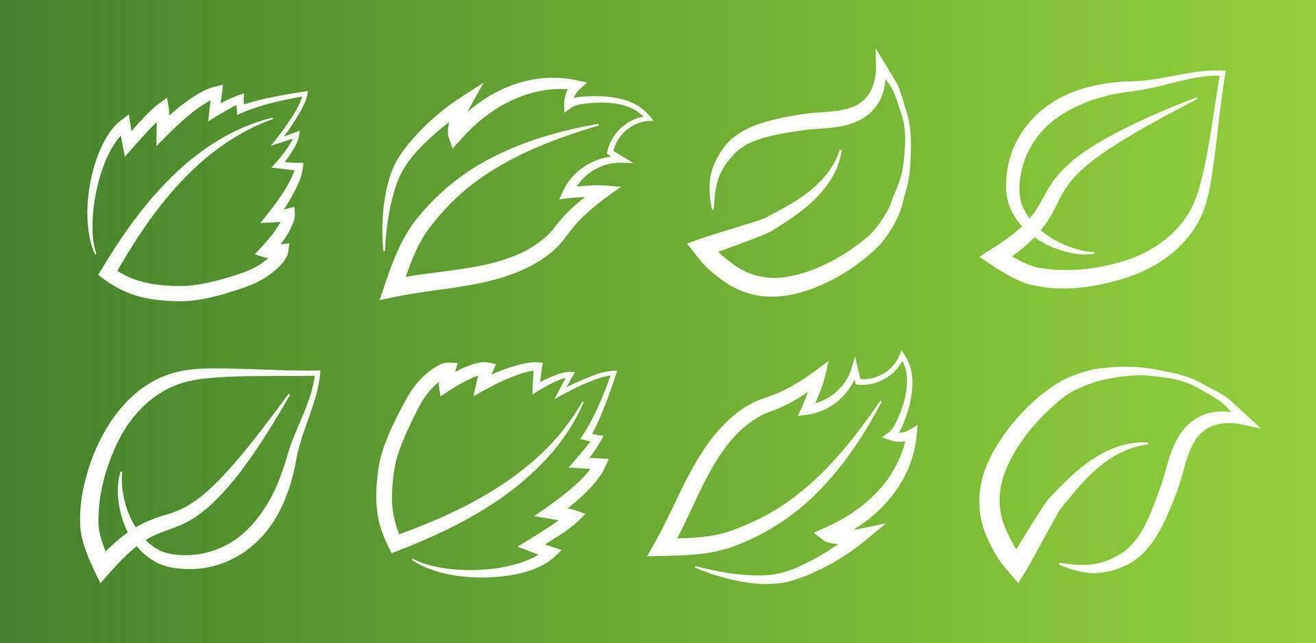 uma conjunto do folhas em uma verde fundo, para logotipos, ícones, desenhos, para a simbolismo do a verde planeta vetor