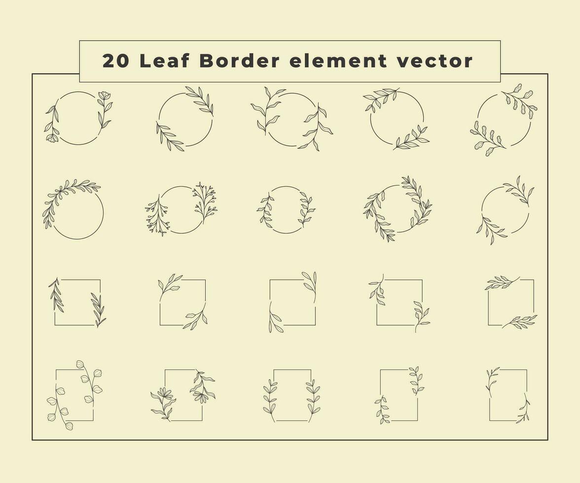 coleção fronteira folhas decoração vetor