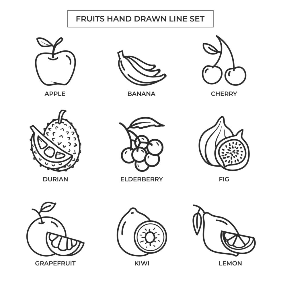 frutas desenhadas à mão com conjunto de arte de linha vetor