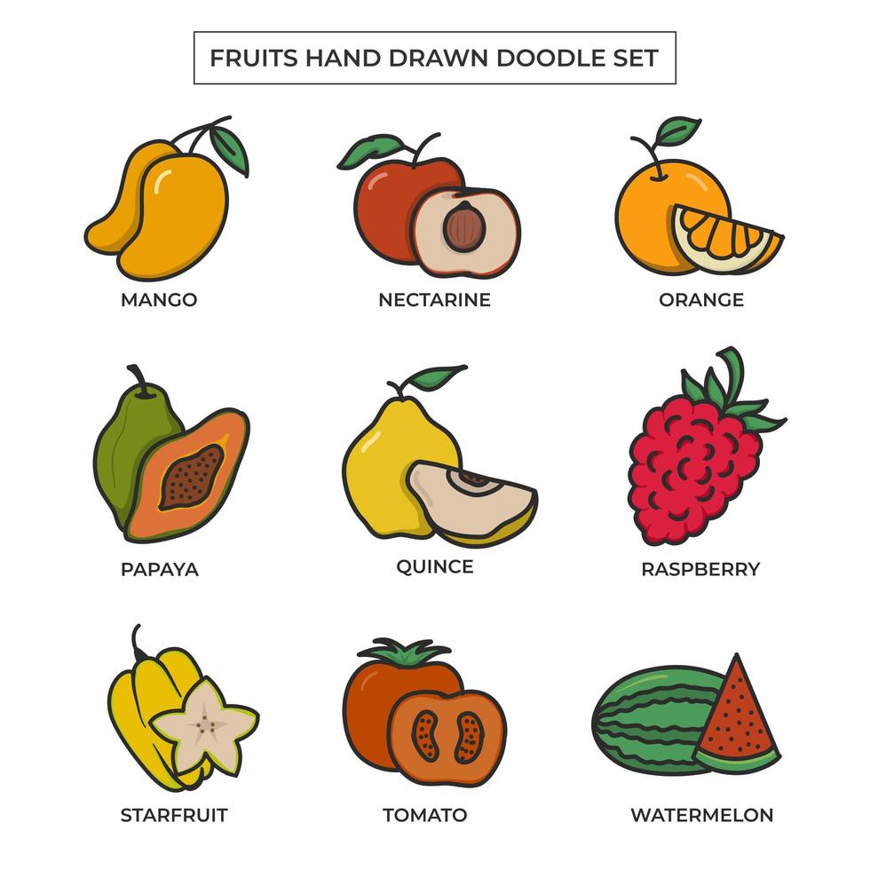 frutas desenho desenhado à mão definido com cor lisa vetor