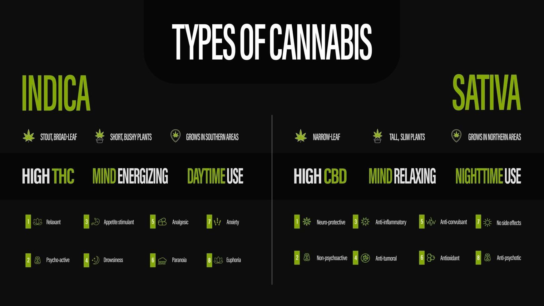 sativa vs indica, pôster preto de informações sobre os tipos de cannabis vetor