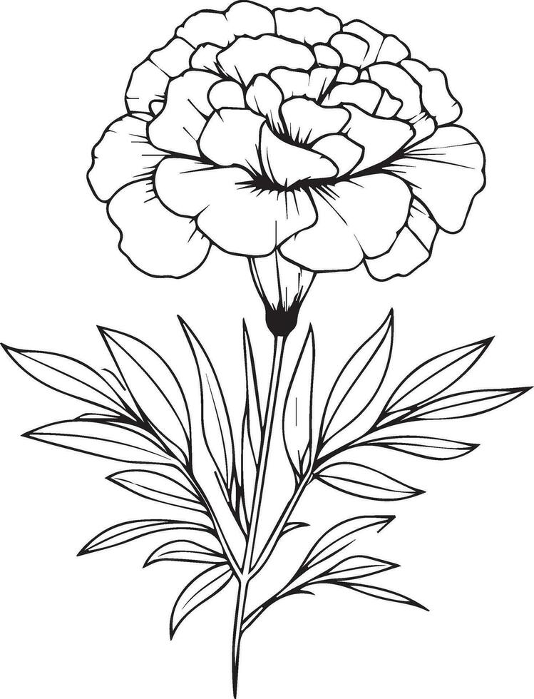 simples calêndula linha desenho, calêndula flor tatuagem desenho, tradicional calêndula tatuagem, Preto calêndula tatuagem, americano tradicional calêndula tatuagem, calêndula flor tatuagem desenho, simples calêndula vetor