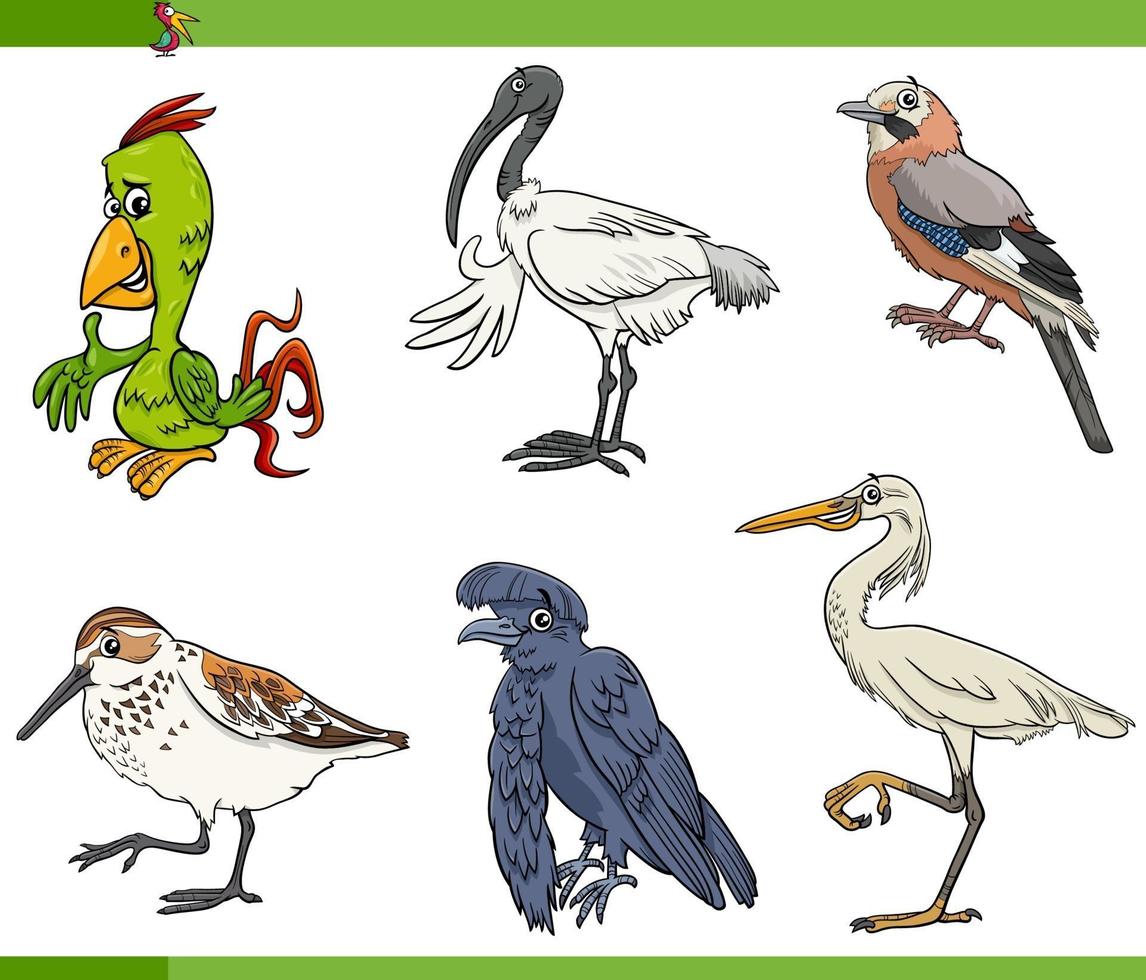 desenhos animados aves espécies animais personagens definido vetor
