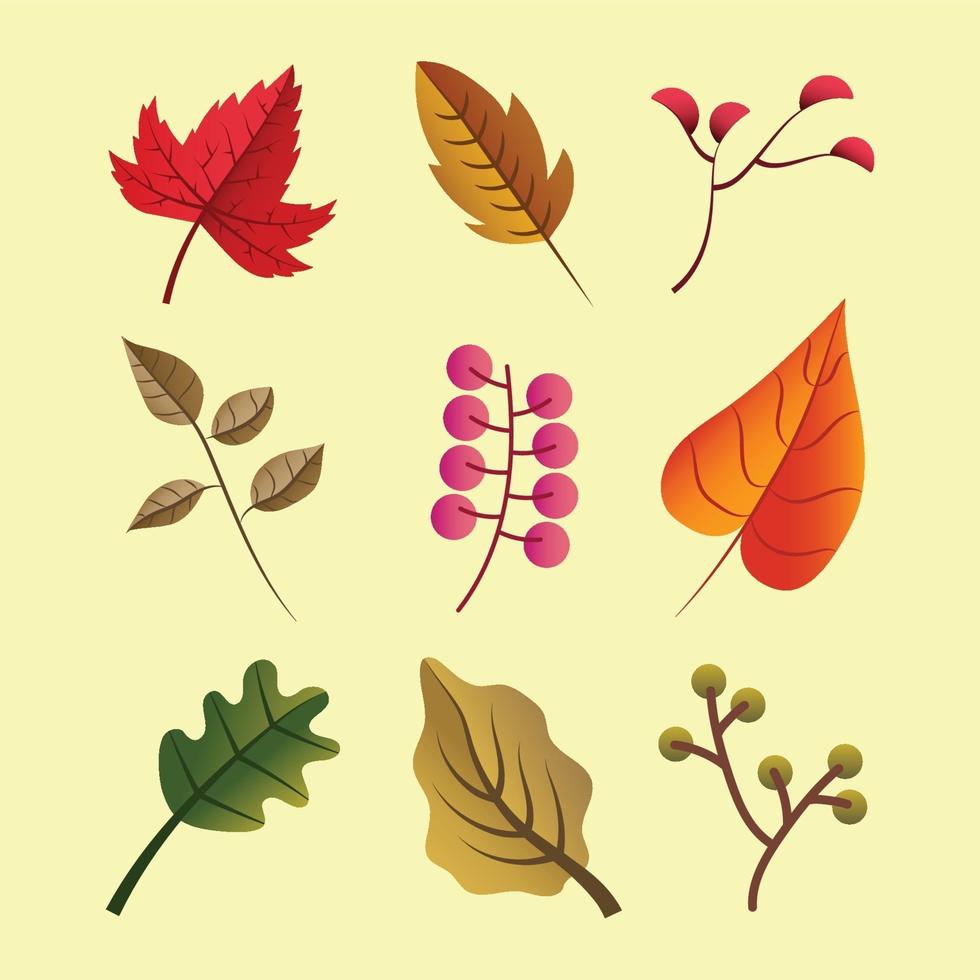 conjunto de modelos de ícones de folhas de outono vetor