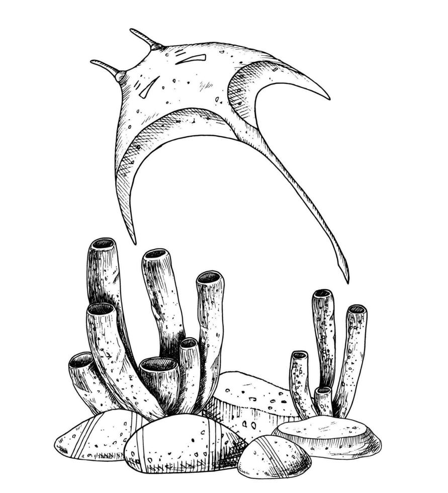 picada raio com coral recifes e solo oceânico. han desenhado Preto vetor ilustração do arraia e oceano chão em branco isolado fundo. linha arte desenhando do manta com peixes para submarino Projeto