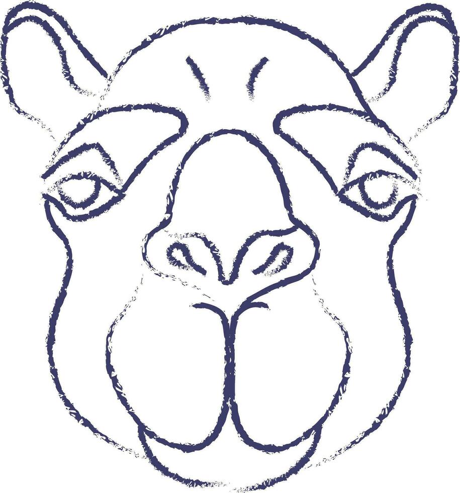 camelo face mão desenhado vetor ilustração