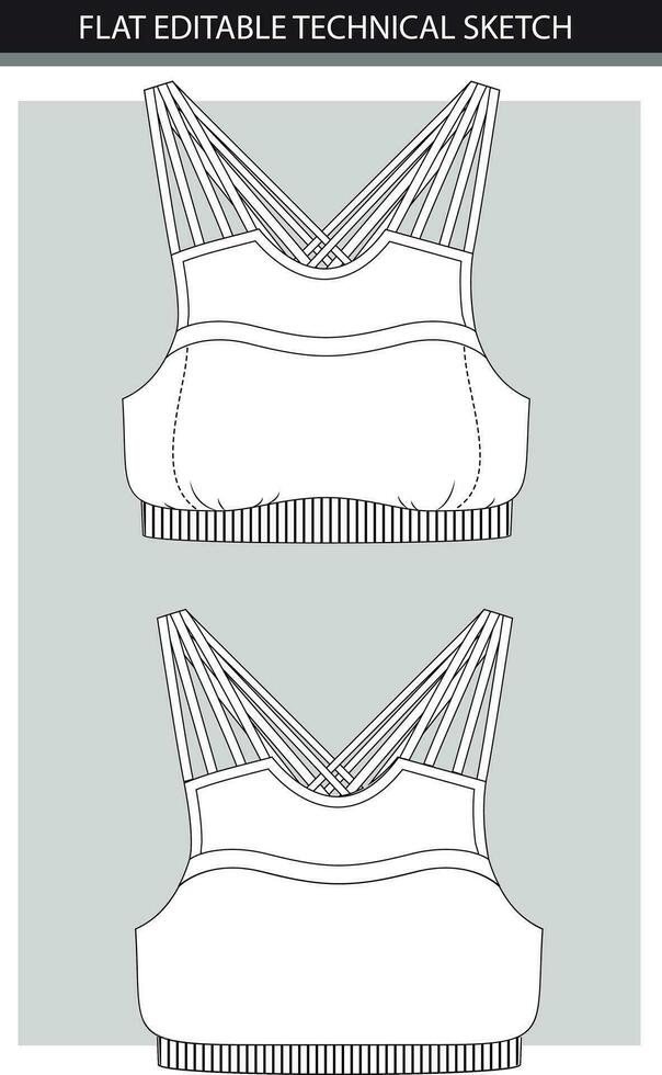 mulheres lingerie sutiã frente e voltar. vetor ilustração do uma mulher roupa de baixo.