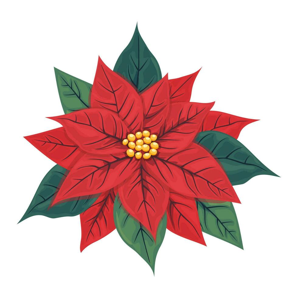 Natal Estrela flor poinsétia. uma símbolo do a inverno feriados é uma plantar pulcherrima com vermelho e verde folhas. para feriado decoração e cumprimento cartões. vetor ilustração.