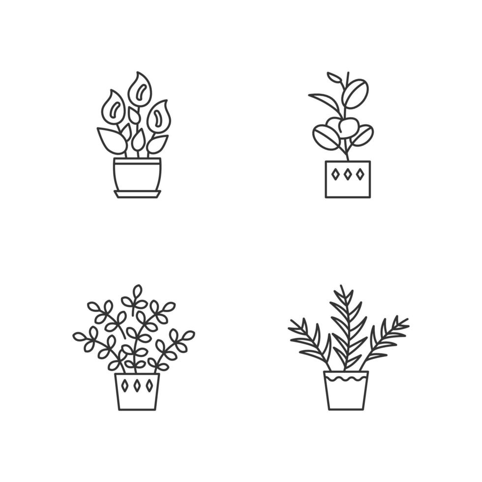 conjunto de ícones lineares perfeitos de pixel de plantas internas vetor