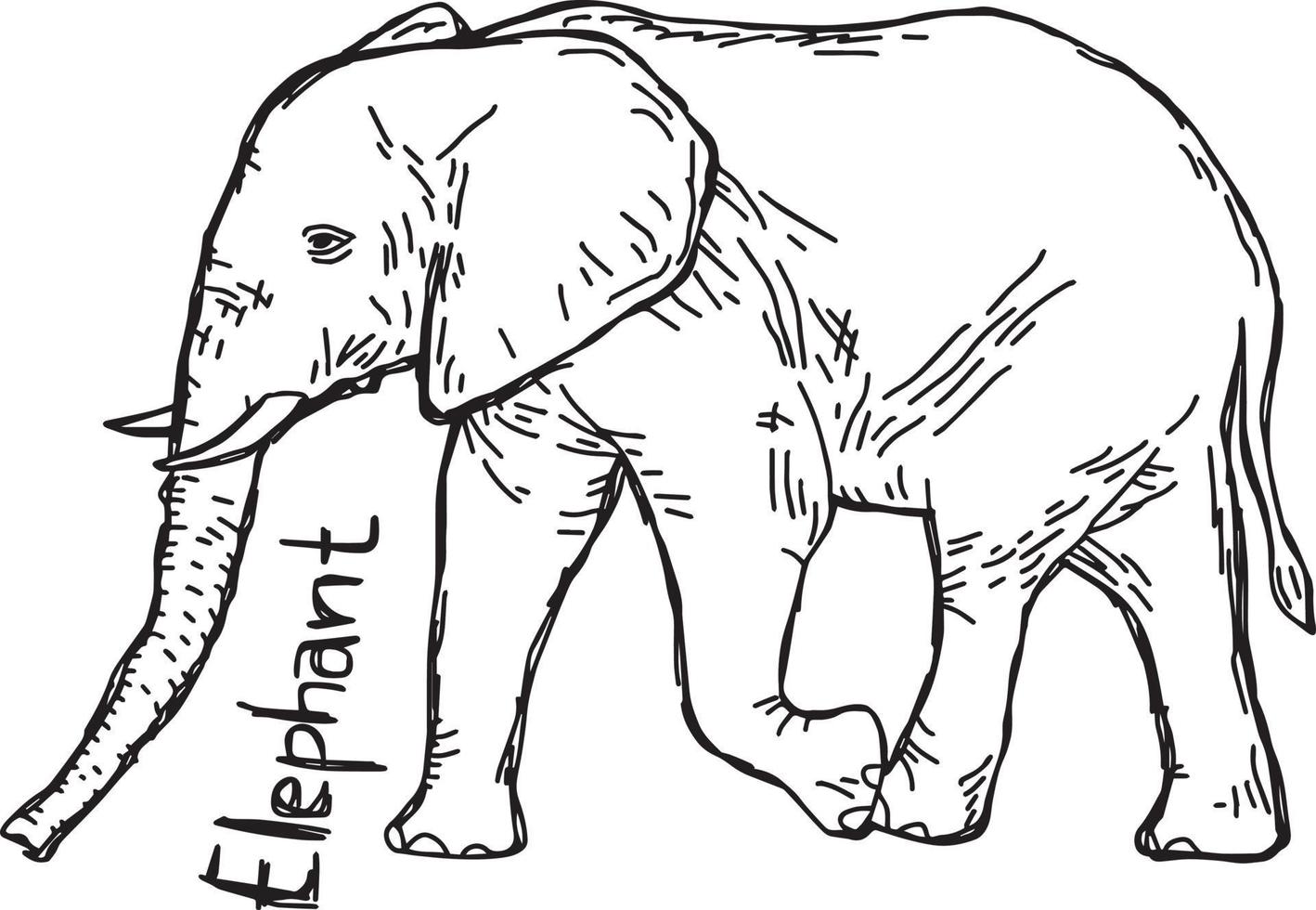 elefante - ilustração vetorial esboço desenhado à mão vetor