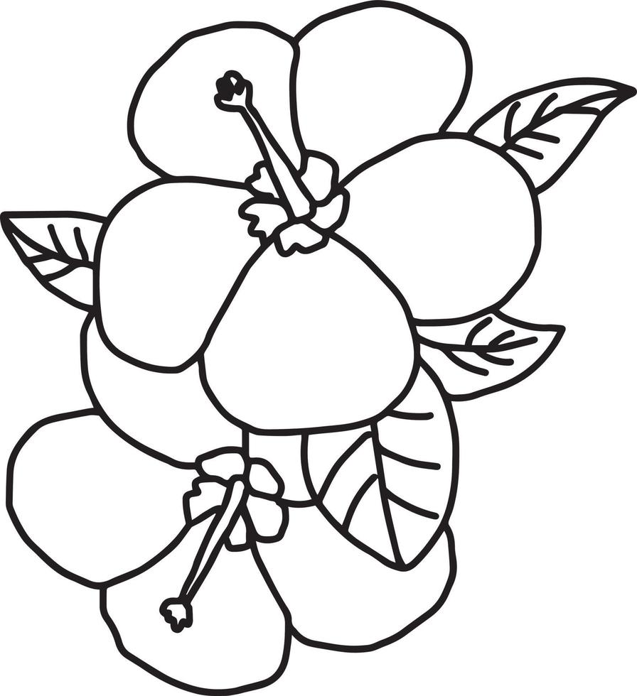 plumeria - desenho de ilustração vetorial desenhado à mão vetor