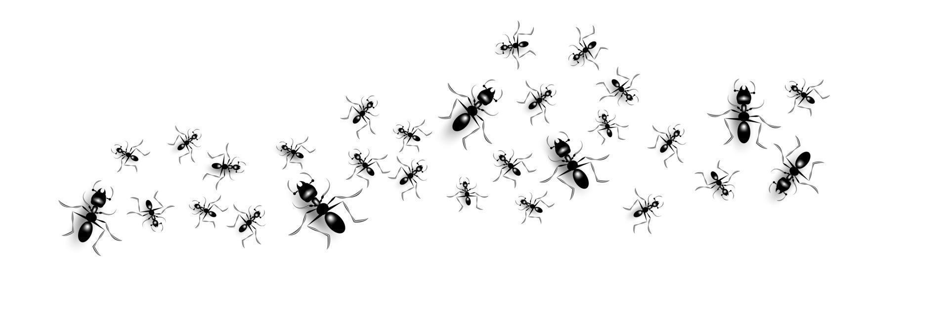grupo de formigas pretas vetor