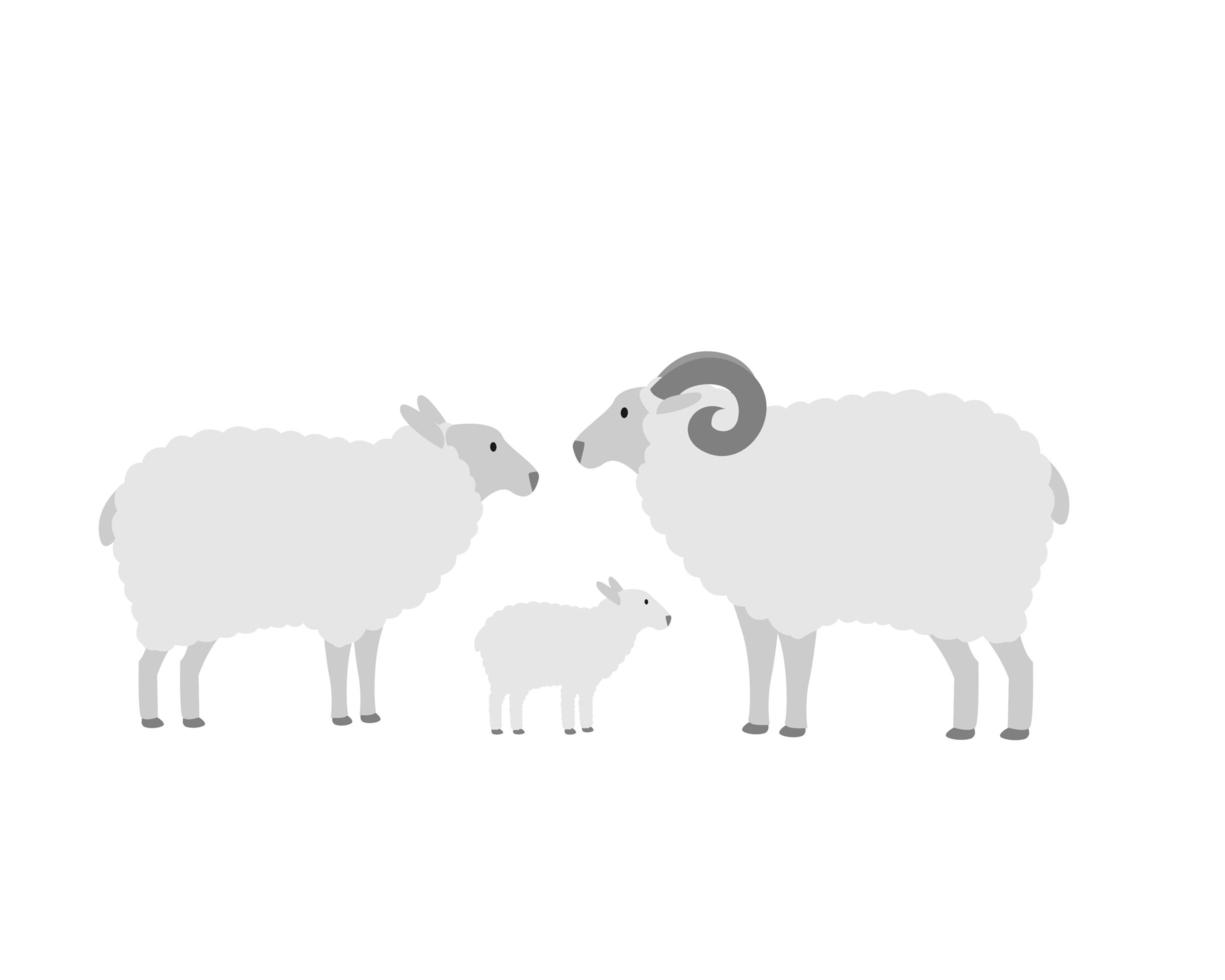 família de ovelhas de fazenda, mãe, pai e cordeiro vetor