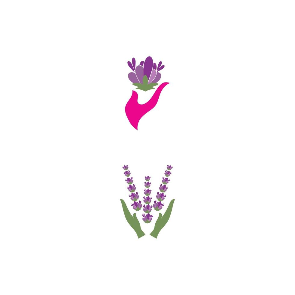 lavanda logotipo modelo vetor símbolo natureza