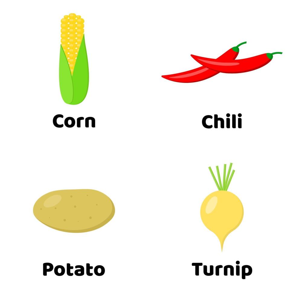 conjunto de vegetais. milho, batata, pimenta, nabo vetor