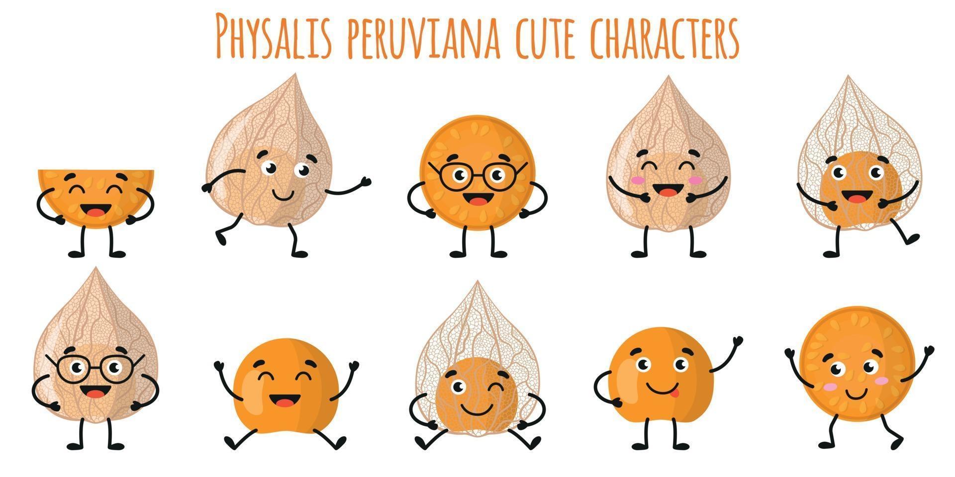 Physalis peruviana frutas personagens engraçados fofinhos com emoções diferentes vetor