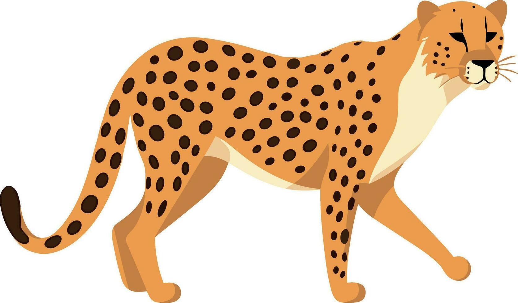 vetor guepardo ilustração