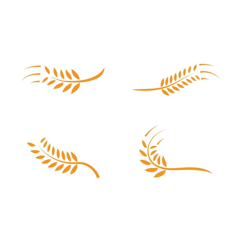 modelo de logotipo do trigo vetor