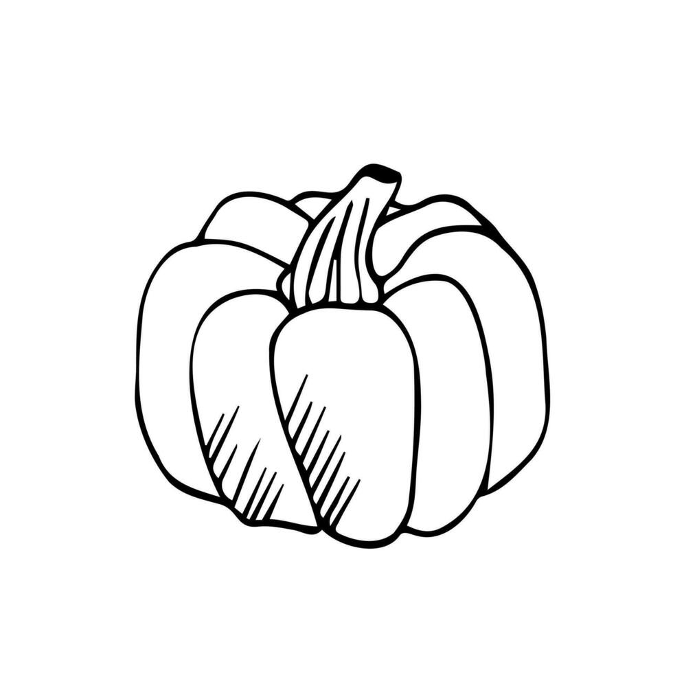 vetor mão desenhada ícone de doodle de contorno de abóbora. ilustração de esboço de comida para impressão, web, mobile e infográficos isolados no fundo branco.