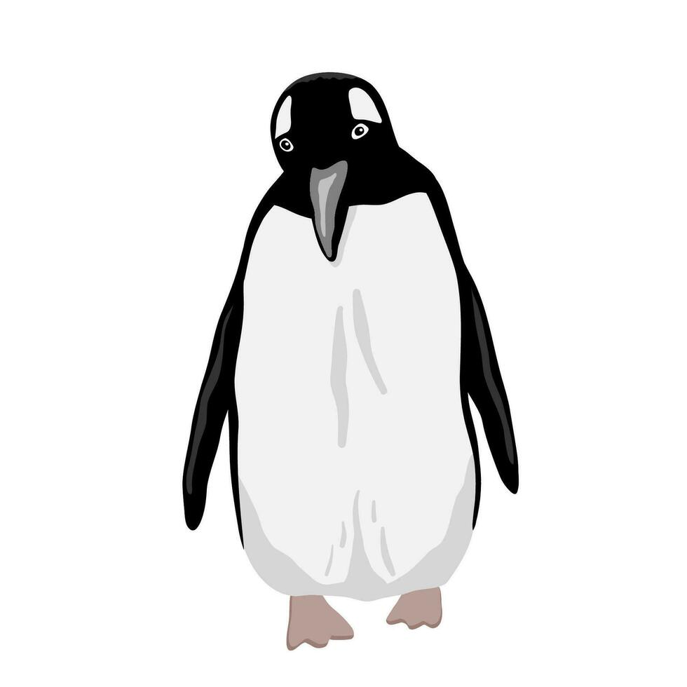 fofa pinguim. plano vetor ilustração isolado em branco. polar animal