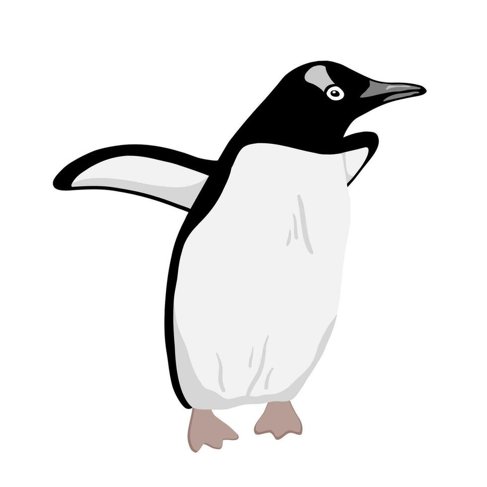 fofa pinguim. plano vetor ilustração isolado em branco. polar animal