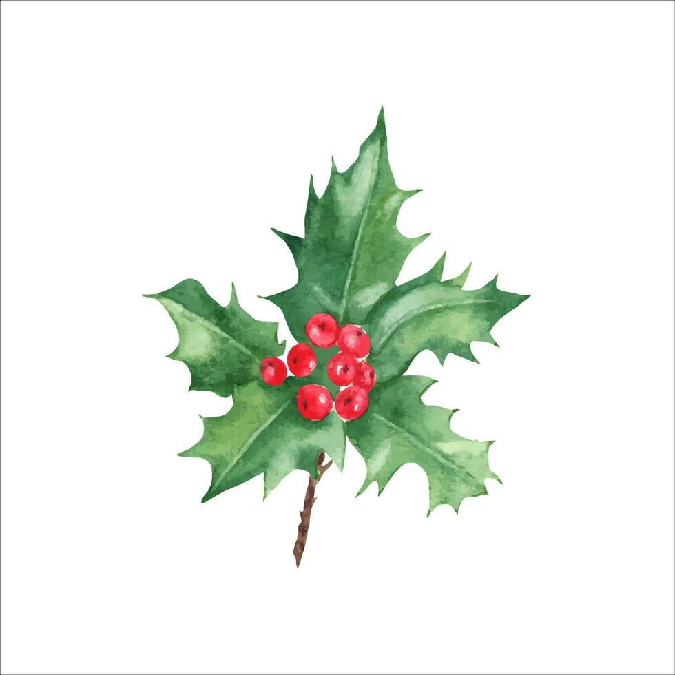 azevinho plantar com vermelho bagas. símbolo do a Novo ano e Natal. aguarela mão pintado ilustração isolado em branco fundo. vintage estilo. Boa para cartões, impressões, adesivos, decoração. vetor