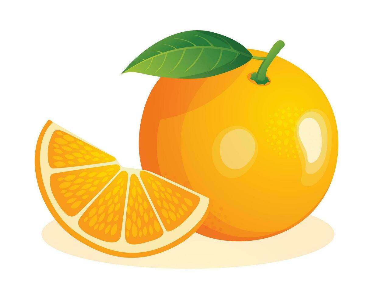 laranja fruta todo e cortar fatiado. vetor ilustração isolado em branco fundo