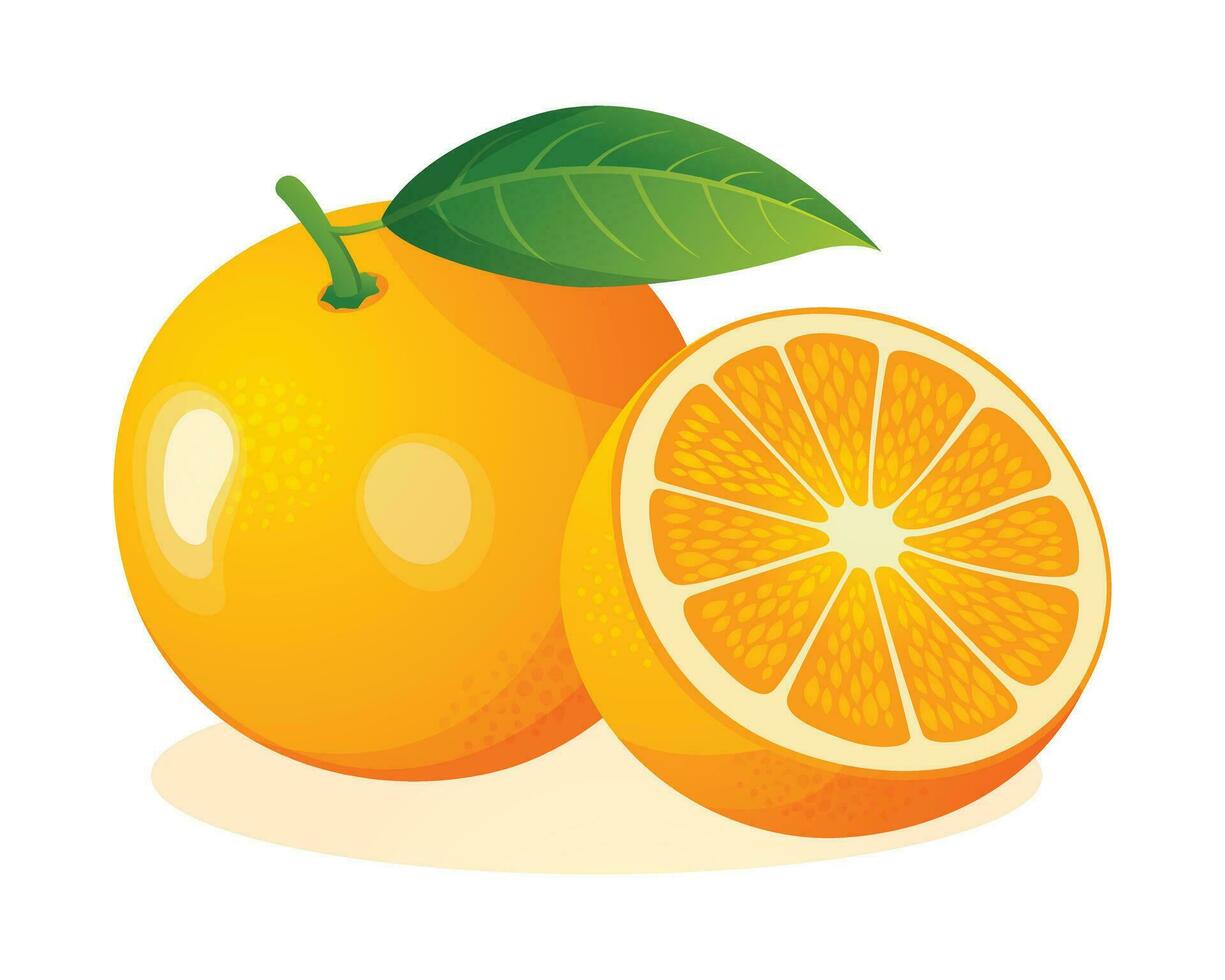 fresco laranja fruta todo e metade corte. vetor ilustração isolado em branco fundo