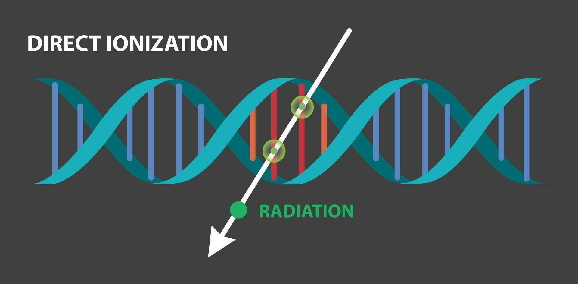 ilustração do direto ionizacao infográfico vetor