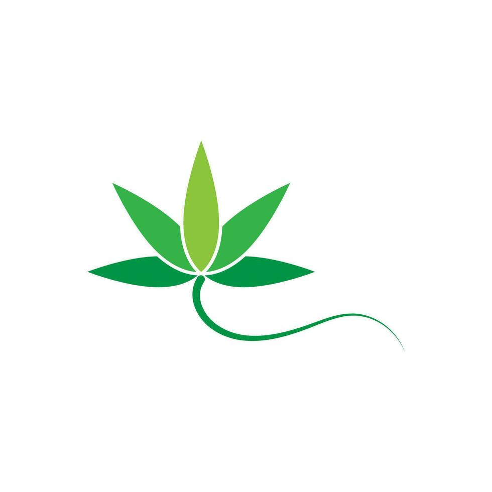 cannabis logotipo vetor e símbolo