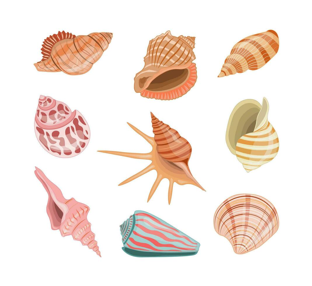 coleção do vetor desenho animado ilustração do colorida conchas do mar em branco fundo.