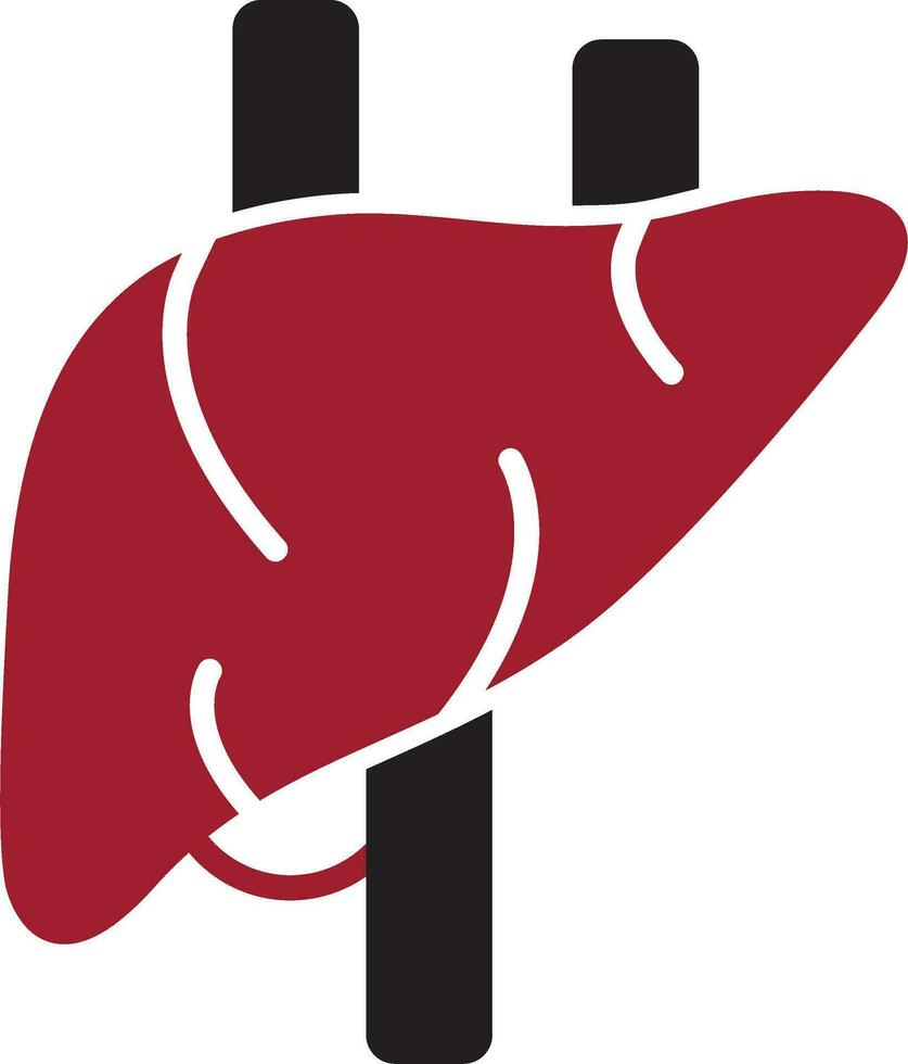 ícone de vetor de fígado