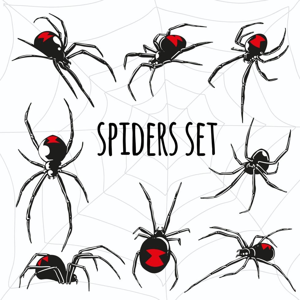 conjunto de vetores de aranha viúva negra