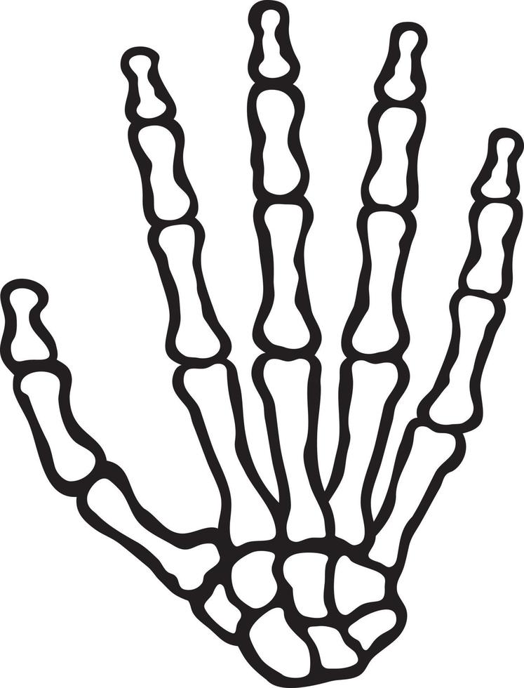 mão de esqueleto humano vetor